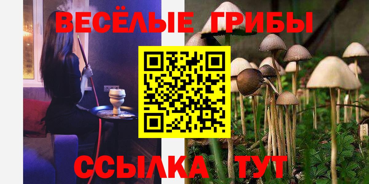 Галлюциногенные грибы мицелий Нягань