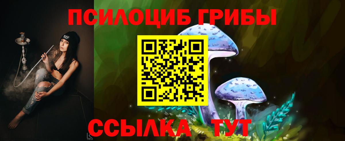 Псилоцибиновые грибы мицелий  Псилоцибиновые грибы прущие грибы  хочу   Нягань  Вход с VPN 